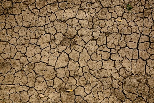 Draught in soil