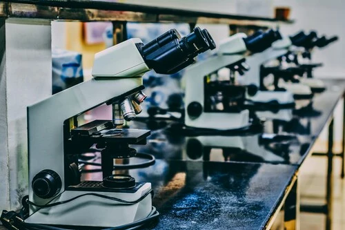 A bench with microscopes